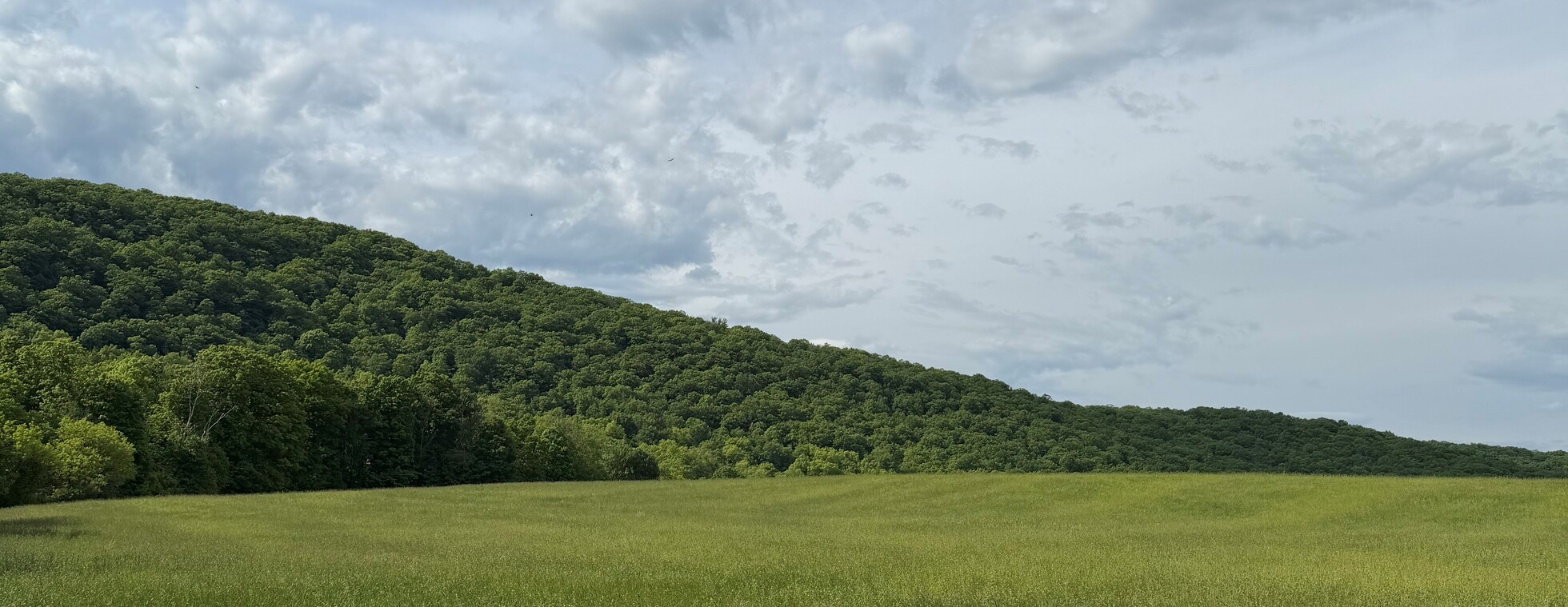 Mindfulness Hike at Macricostas Preserve
